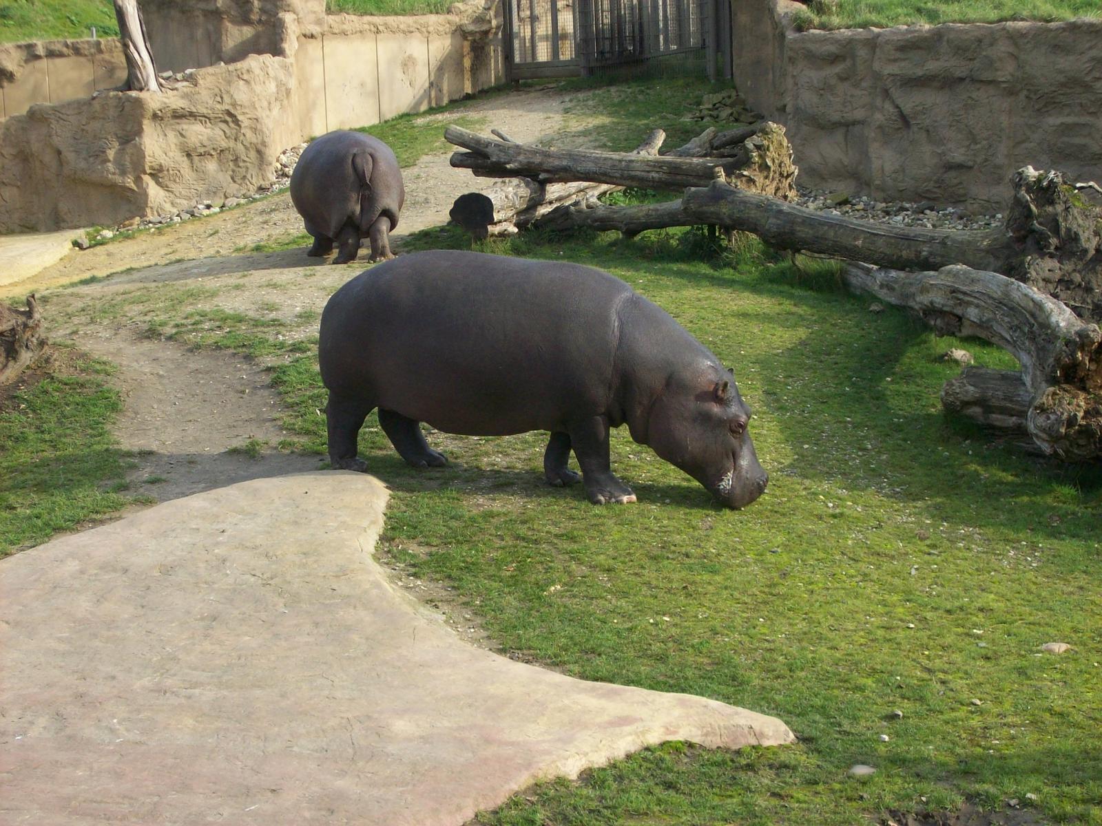 Zoom 18.10.2008-181.jpg
